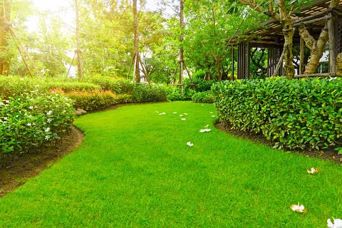 Garden Maintenance