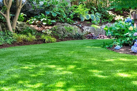 Garden Lawn