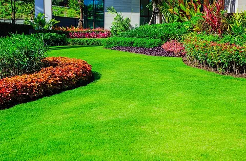 Garden Lawn